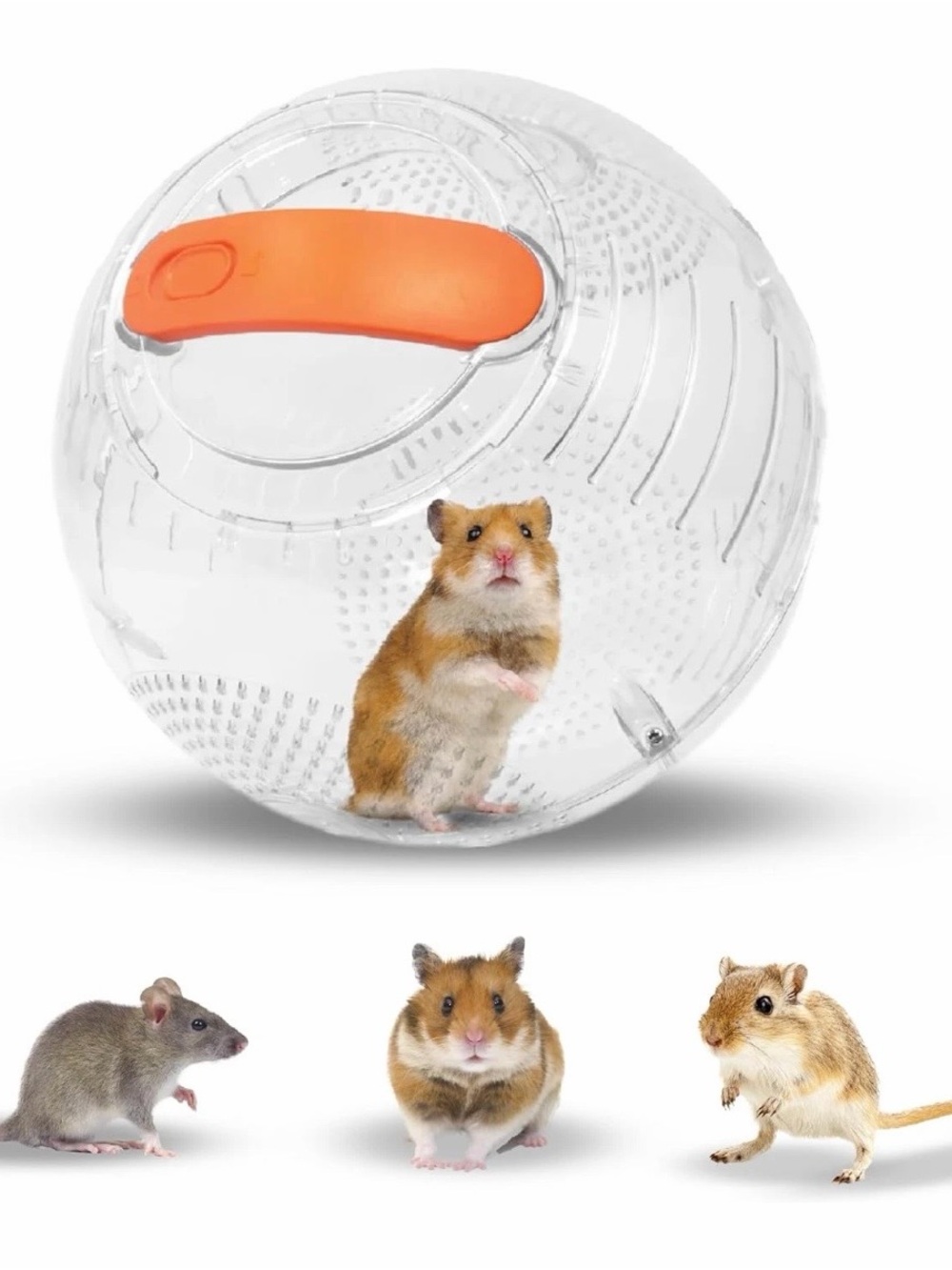 Happy habitats Roam small pet hamster gerbil mice exercise ball pets accessories